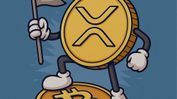 XRP Diprediksi Salip Bitcoin di Siklus Ini