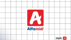 Lowongana Business Analyst Alfamidi Bandar Lampung