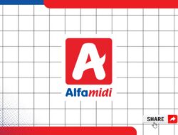 Bursa Kerja Lowongana Business Analyst Alfamidi Jakarta Utara Tahun 2025 (Resmi)