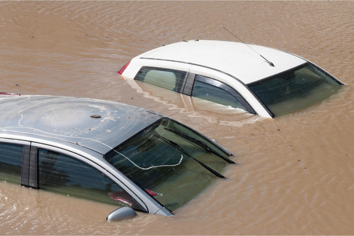 Mobil Listrik Terendam Banjir Jakarta? Solusi Darurat Cepat!