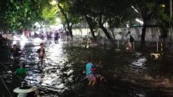 Mobil Terendam Banjir? Cek Komponen Vital Ini Sekarang!